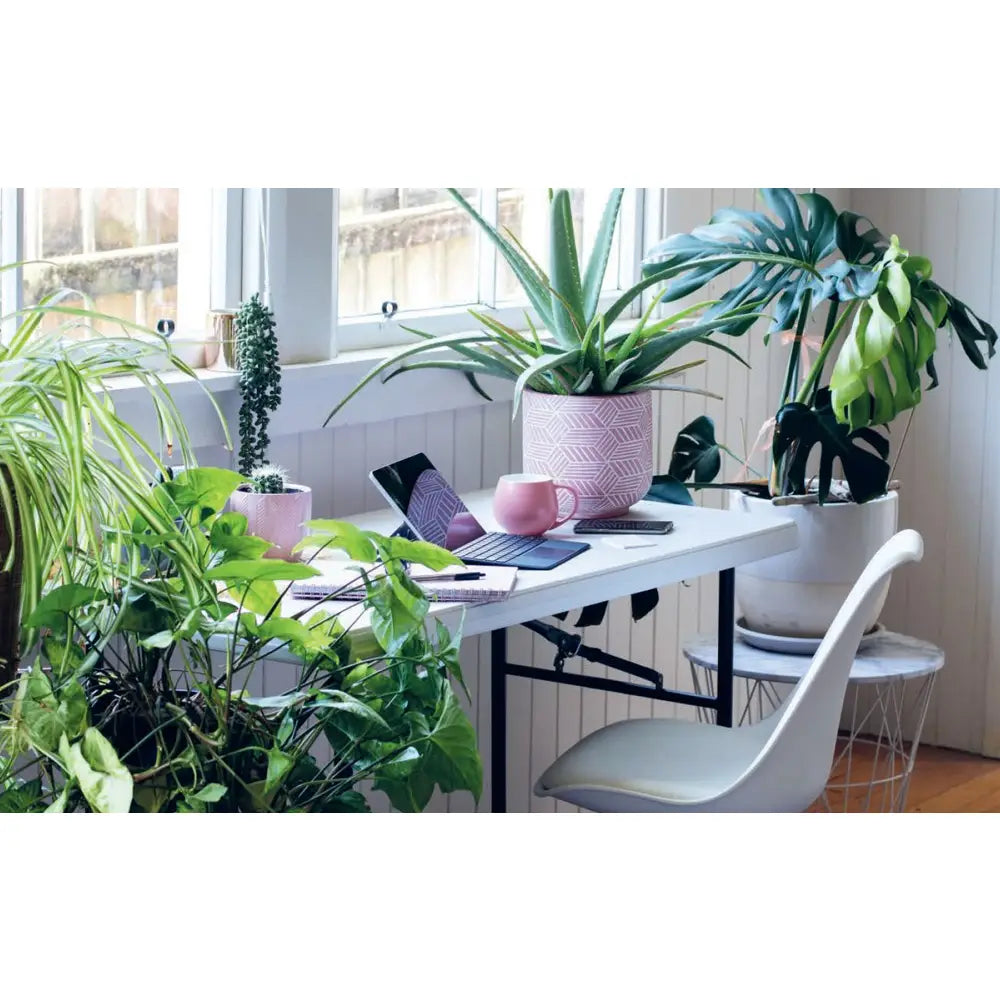 Plant House