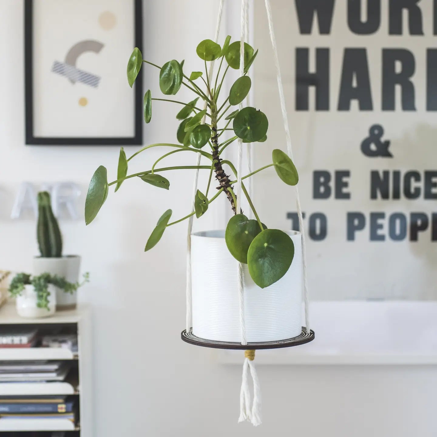 Plant Hanger
