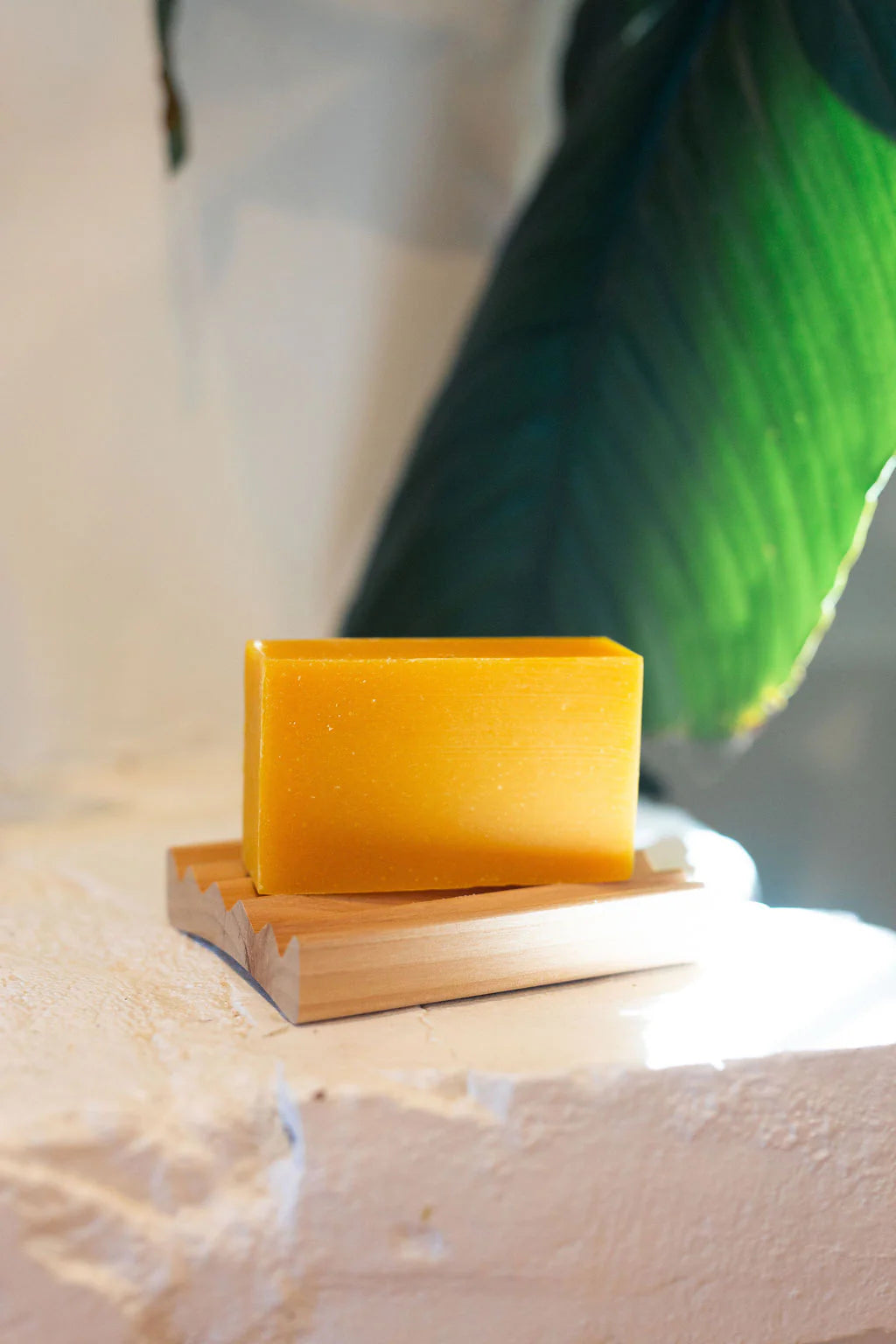 Organic Bar Soap Set