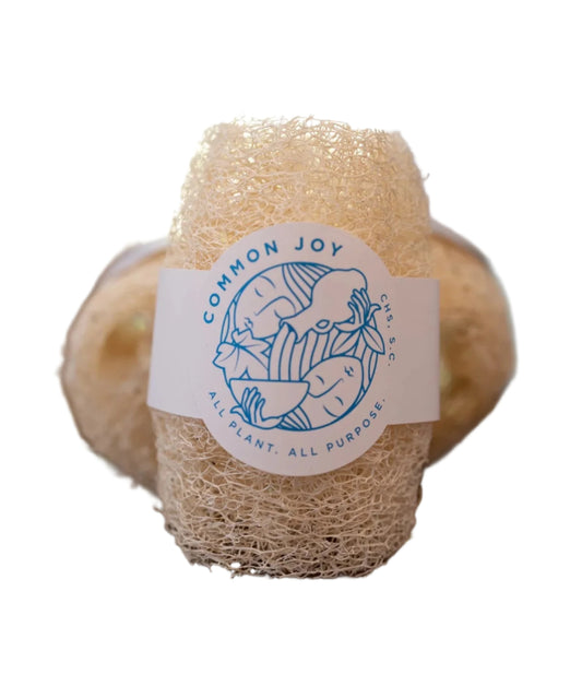 Luffa Sponge