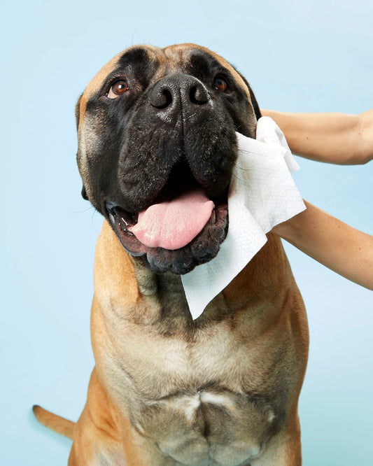 Dog Wipes