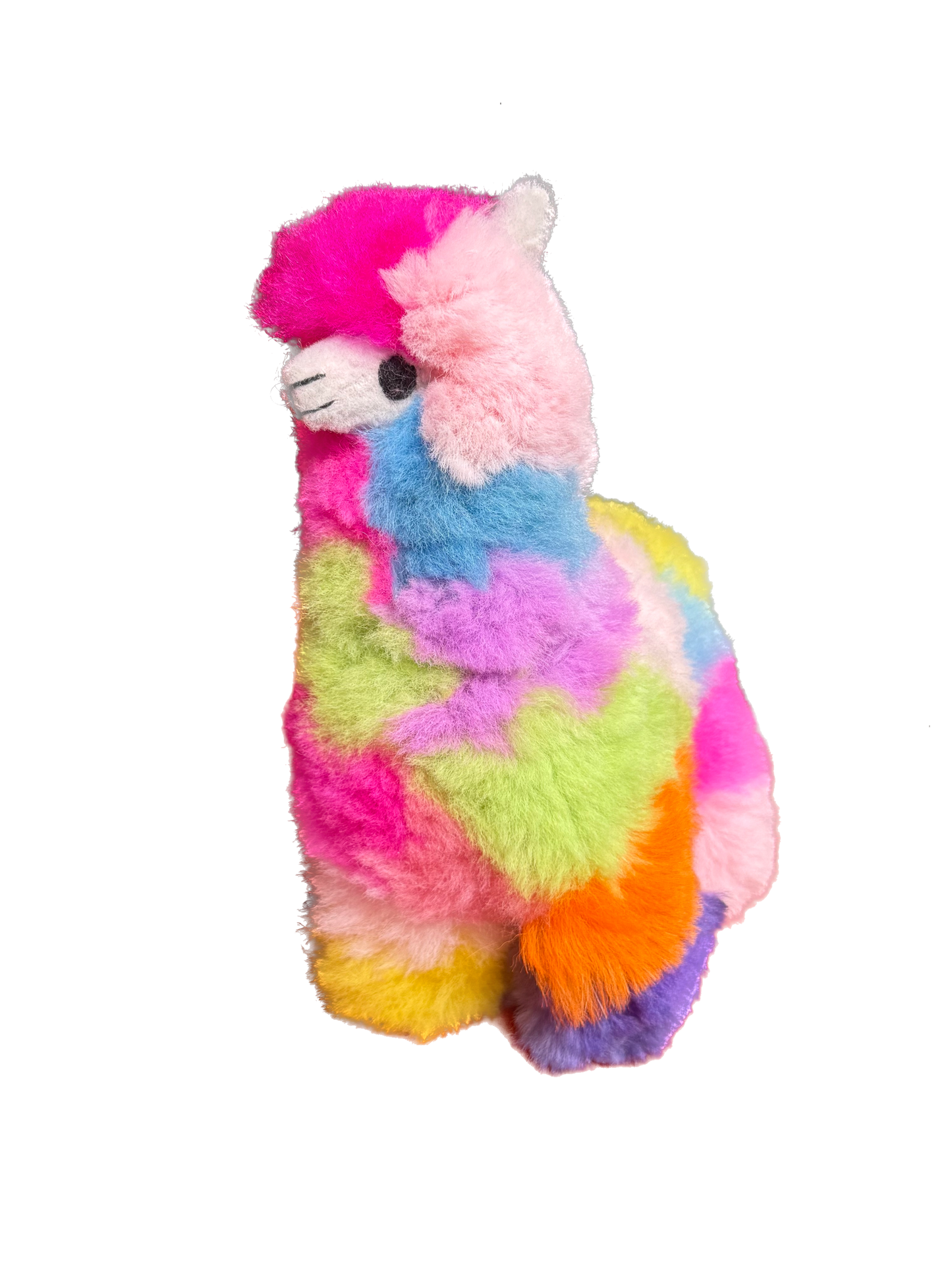 Llama - Rainbow