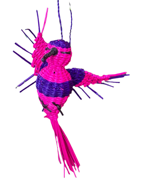 Woven Hummingbird