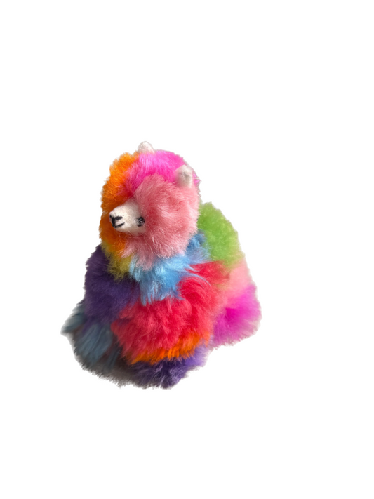 Mini Llama - Rainbow