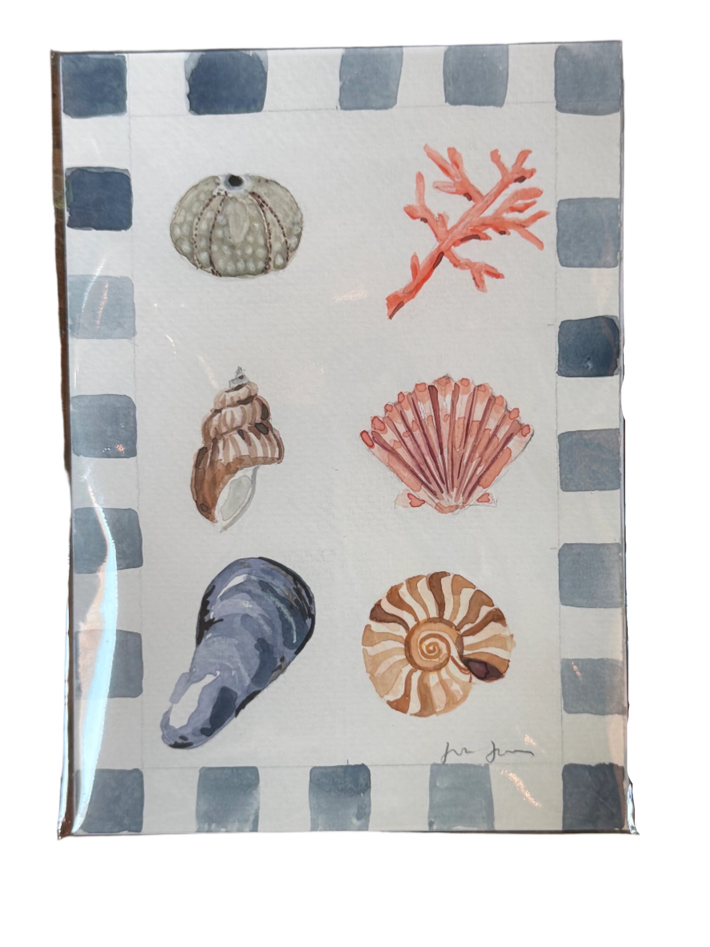 Six Seashells Watercolor
