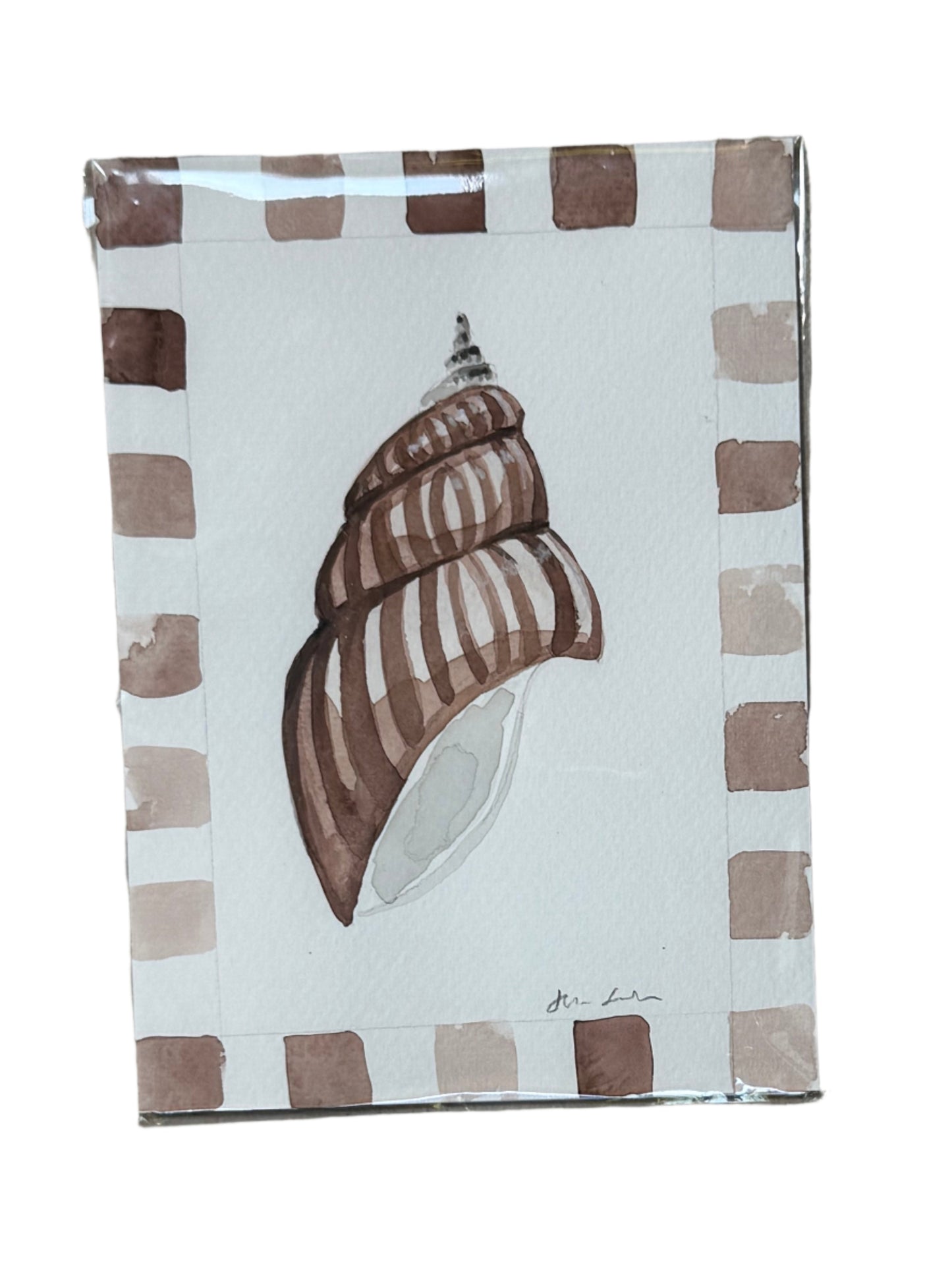 Striped Shell Watercolor