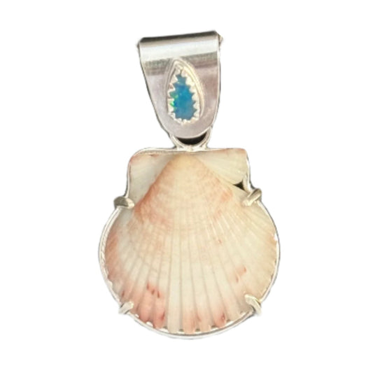 Sea Collectors Shell Pendant