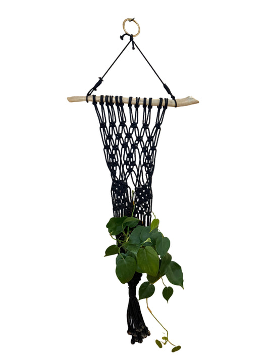 Crocheted Plant Hanging