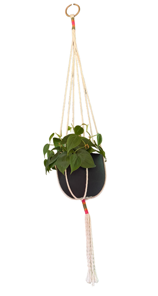 Crochet Plant Hanger