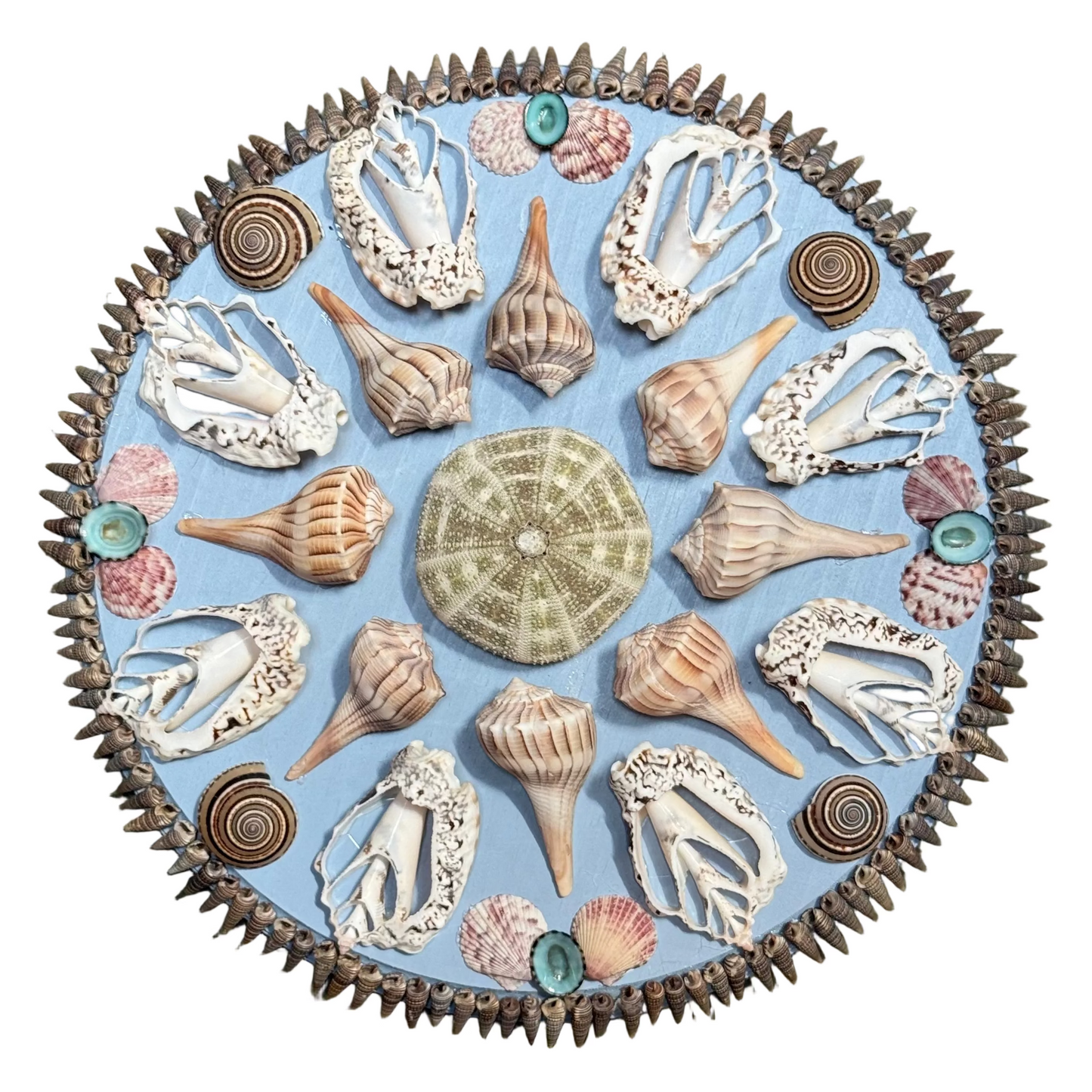 Round Shell Panel
