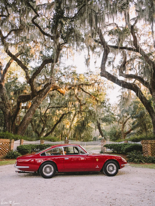 8x10 Lowcountry 365
