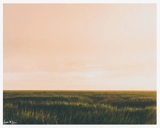 8x10 Marsh Dreaming