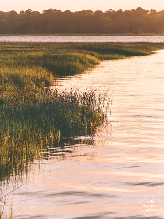 8x10 Marsh en Rosé