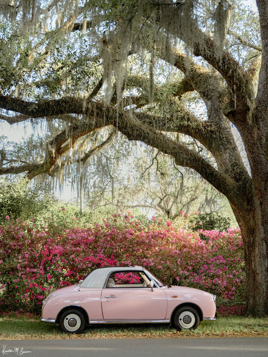8x10 Pretty in Pink Blooming