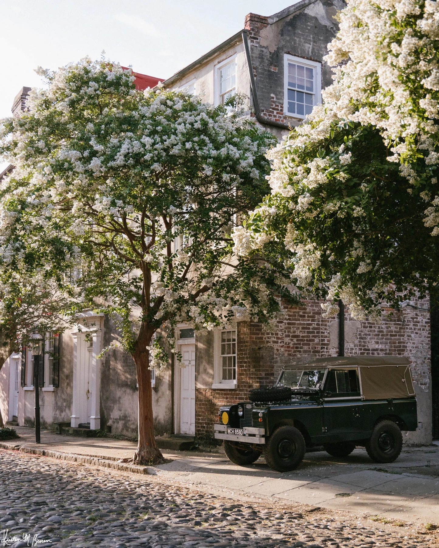 8x10 Rover Blooms