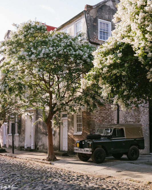 8x10 Rover Blooms