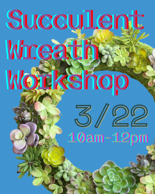 Succulent Wreath Workshop