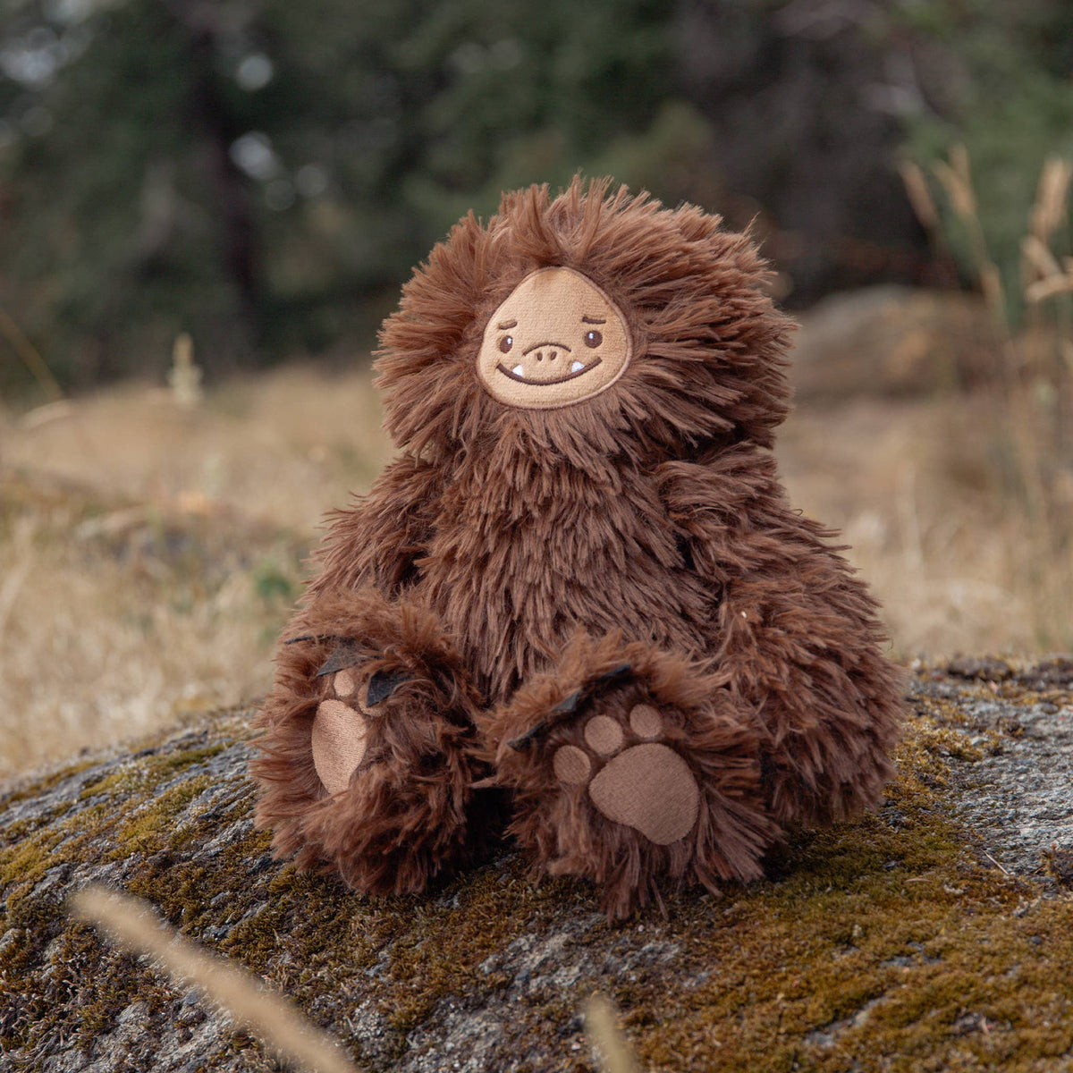 Sully the Sasquatch