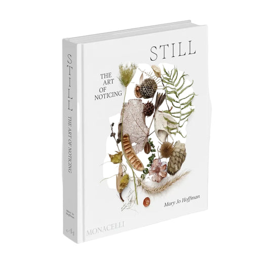 Still: The Art of Noticing