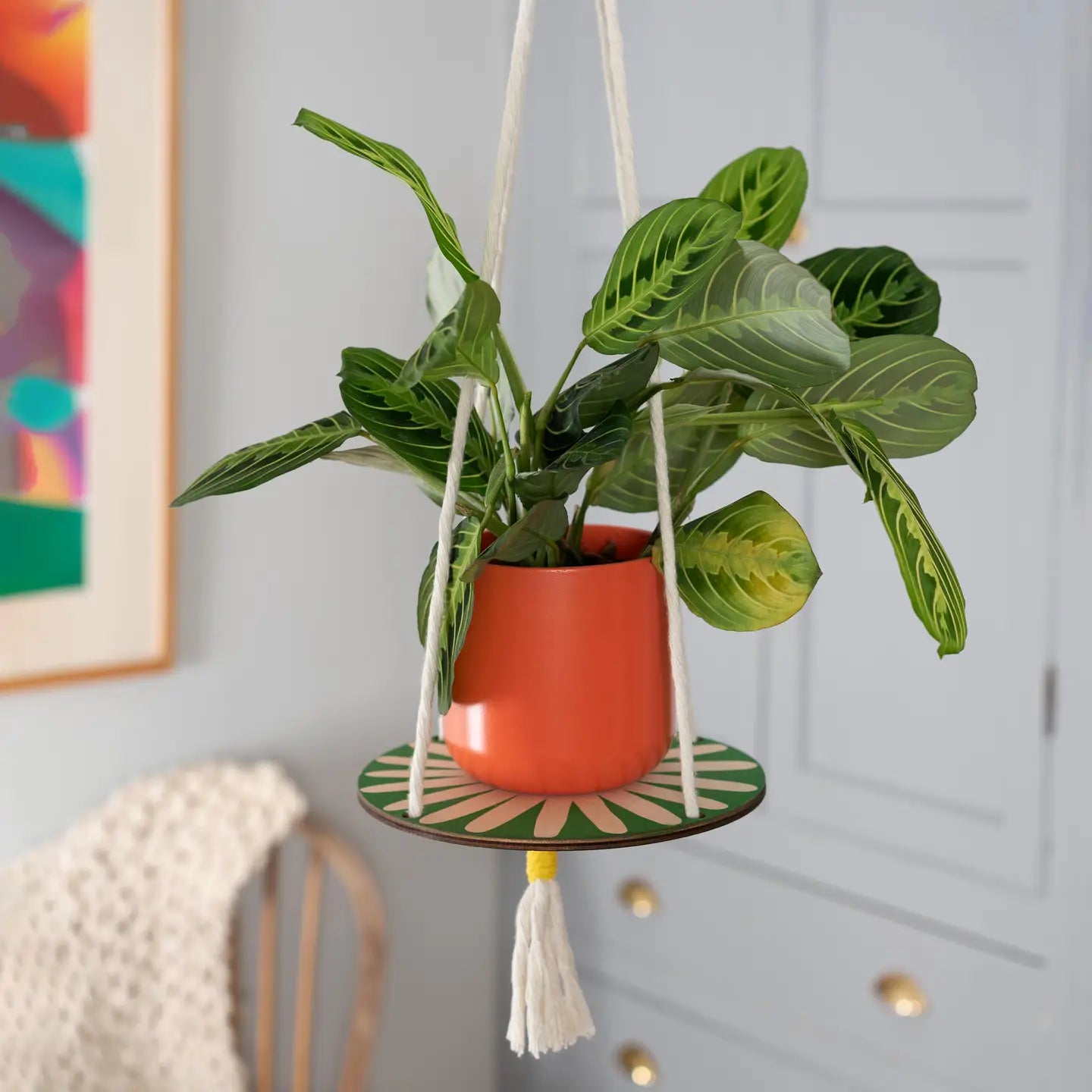 Plant Hanger