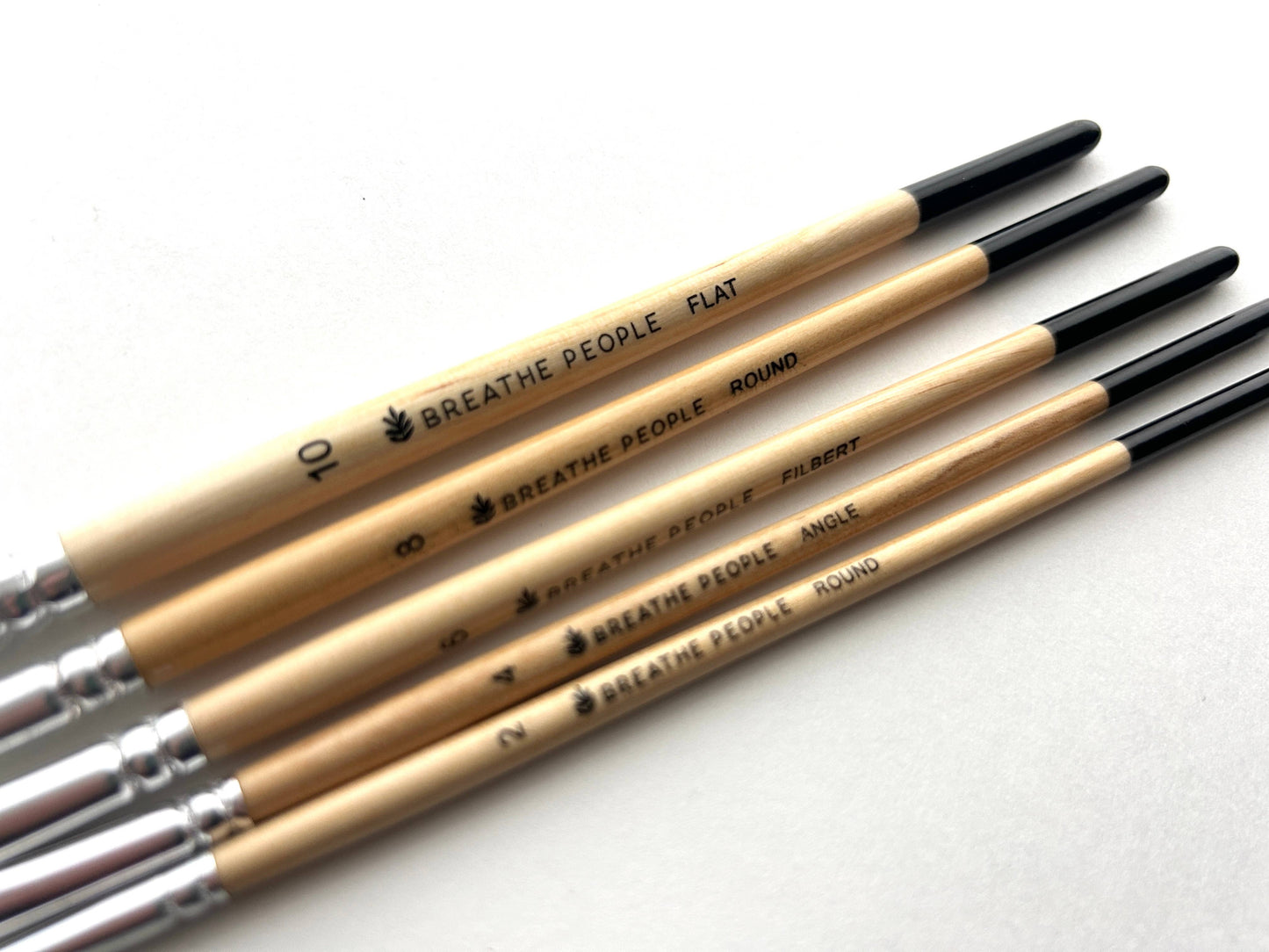 5-Piece Paintbrush Set
