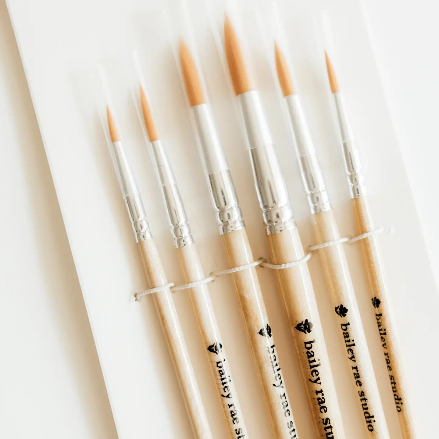Round Watercolor Brush Set