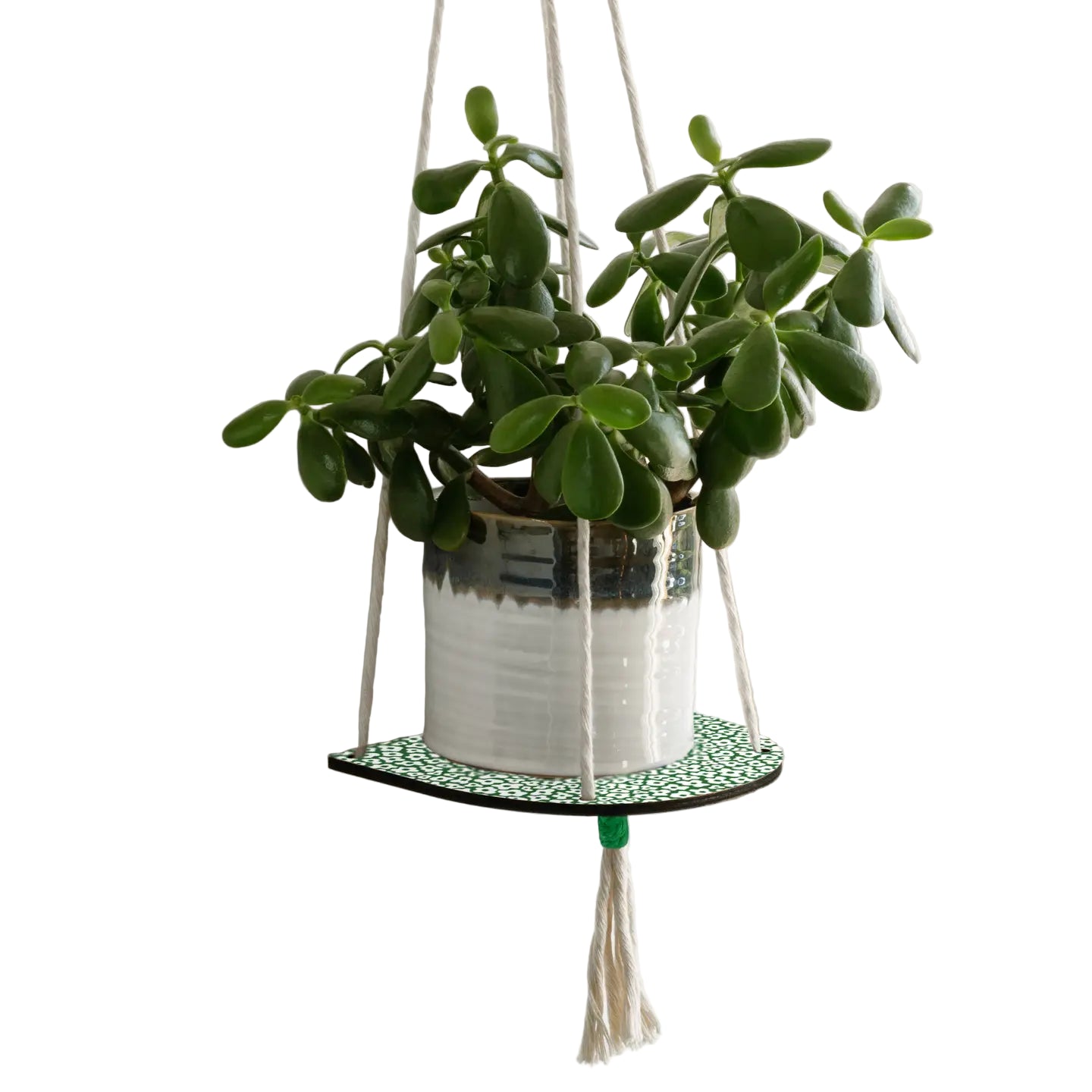 Hanging Plant Shelf