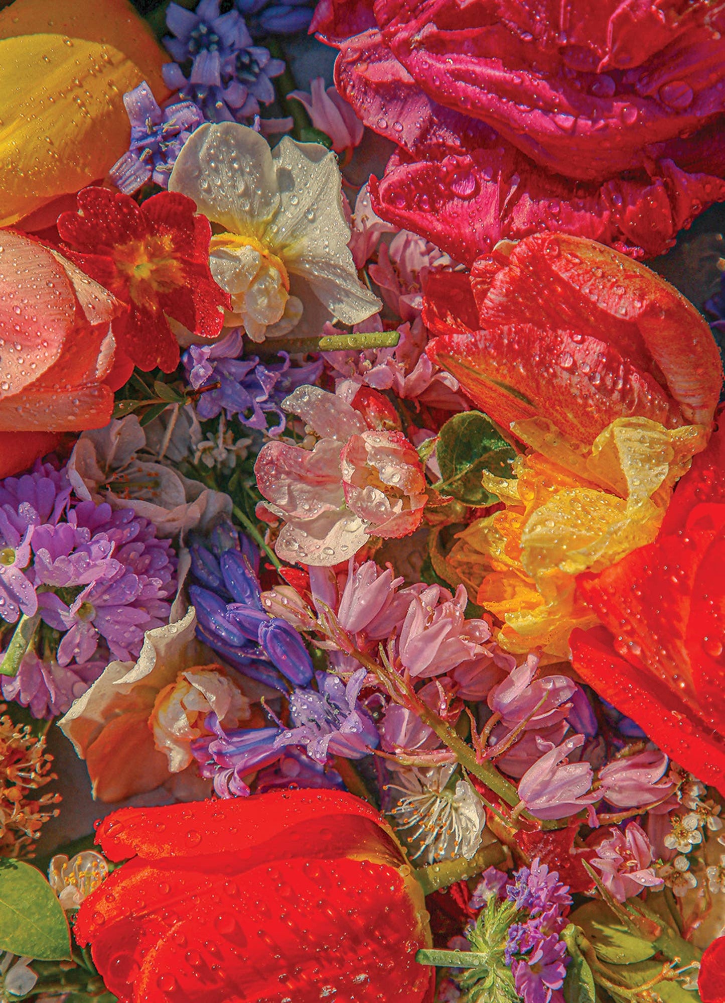 Blossom Puzzle