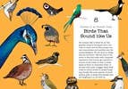Bird Talk