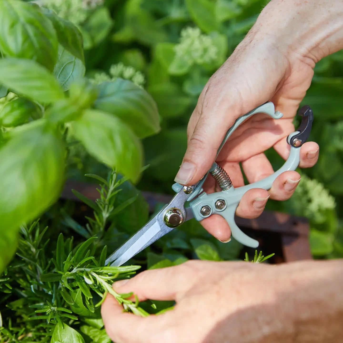 Garden Shears