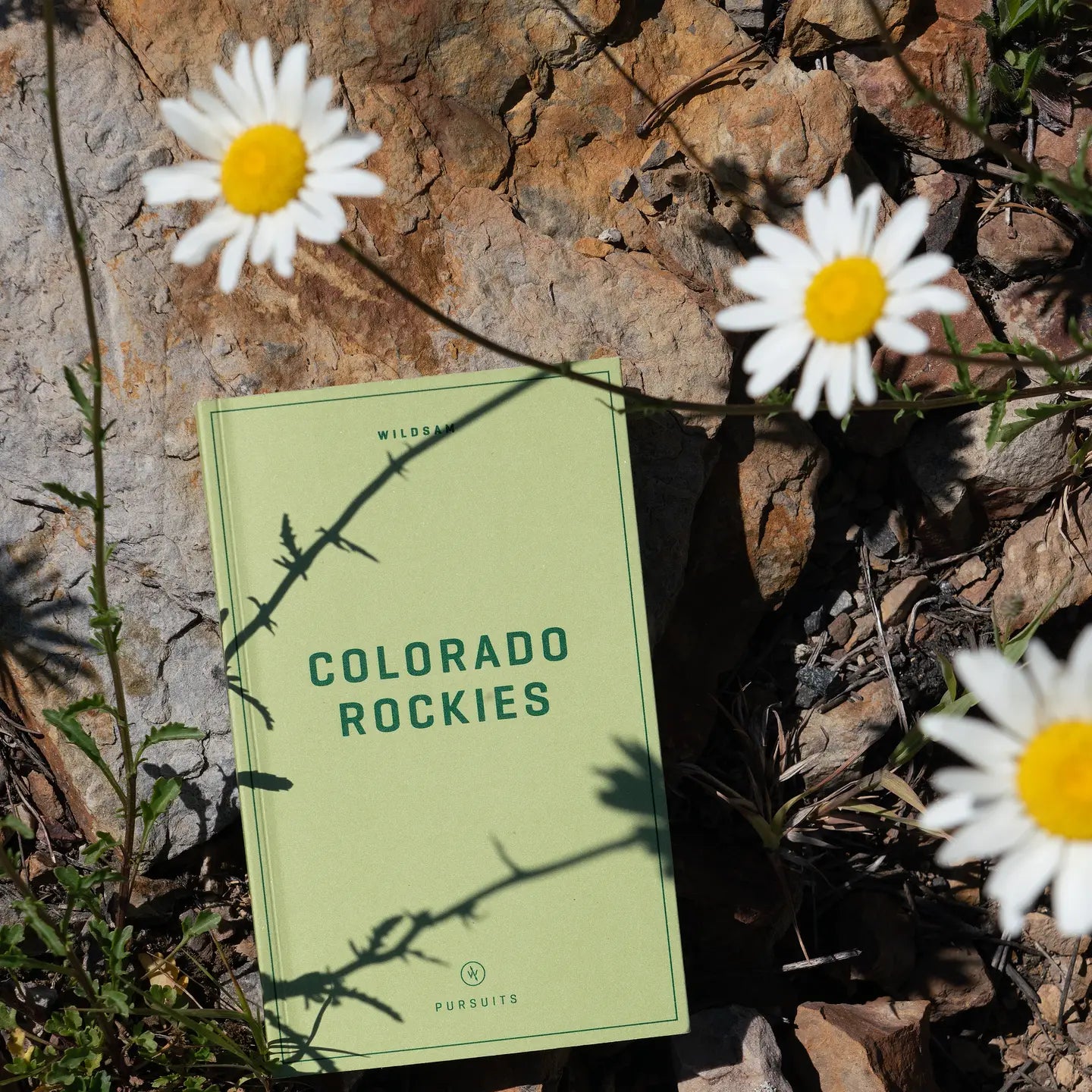 Colorado Rockies Field Guide Book