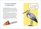 Bird Talk