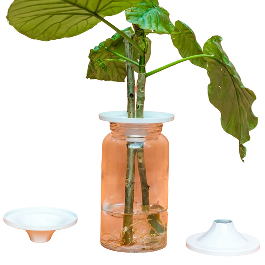 Propagation Cones - 3 pack