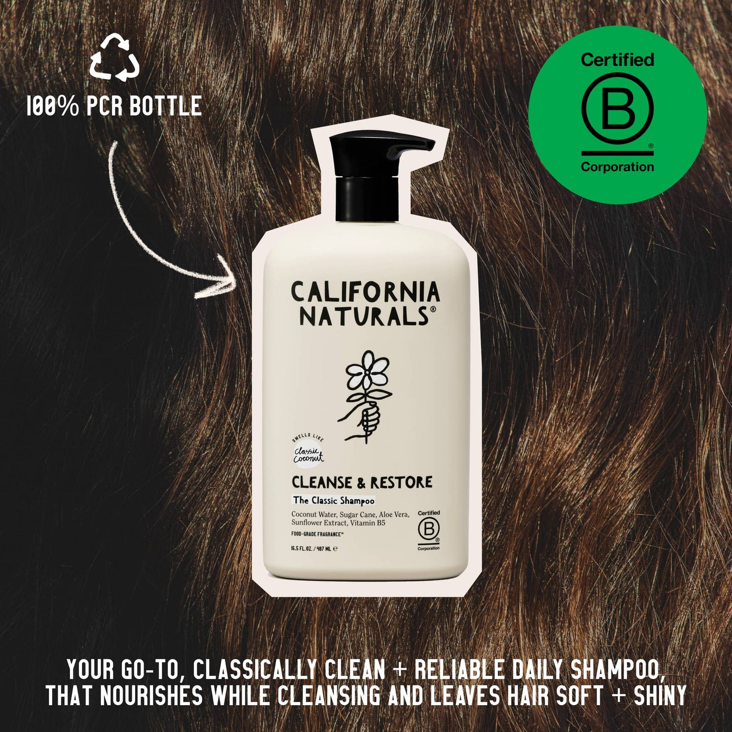 Coconut Shampoo