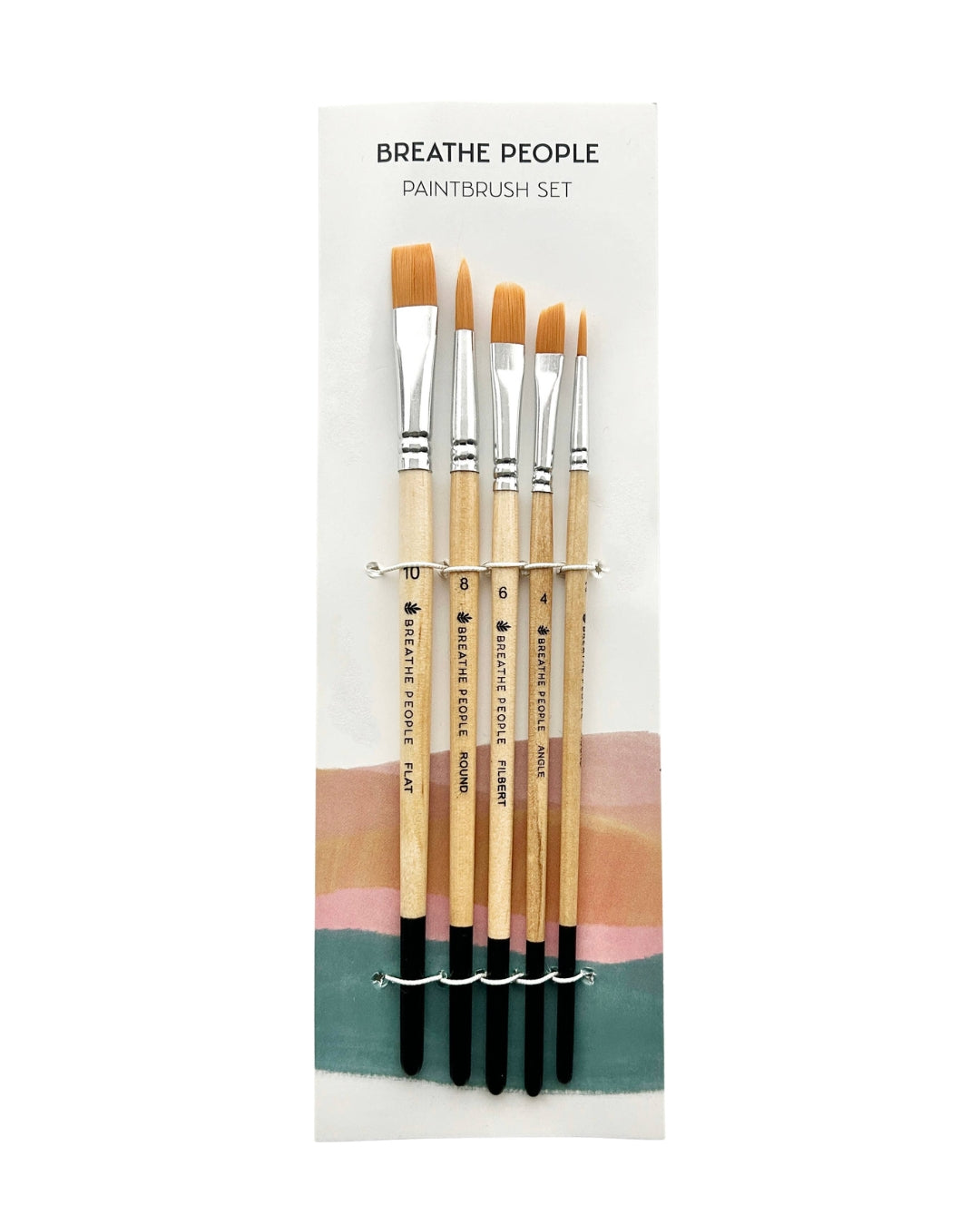 5-Piece Paintbrush Set