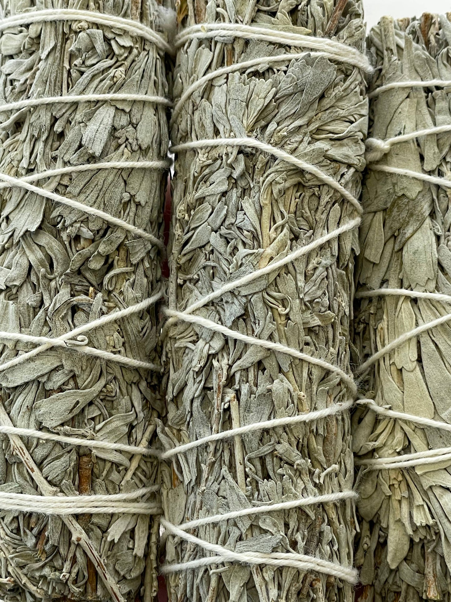 Blue Sage