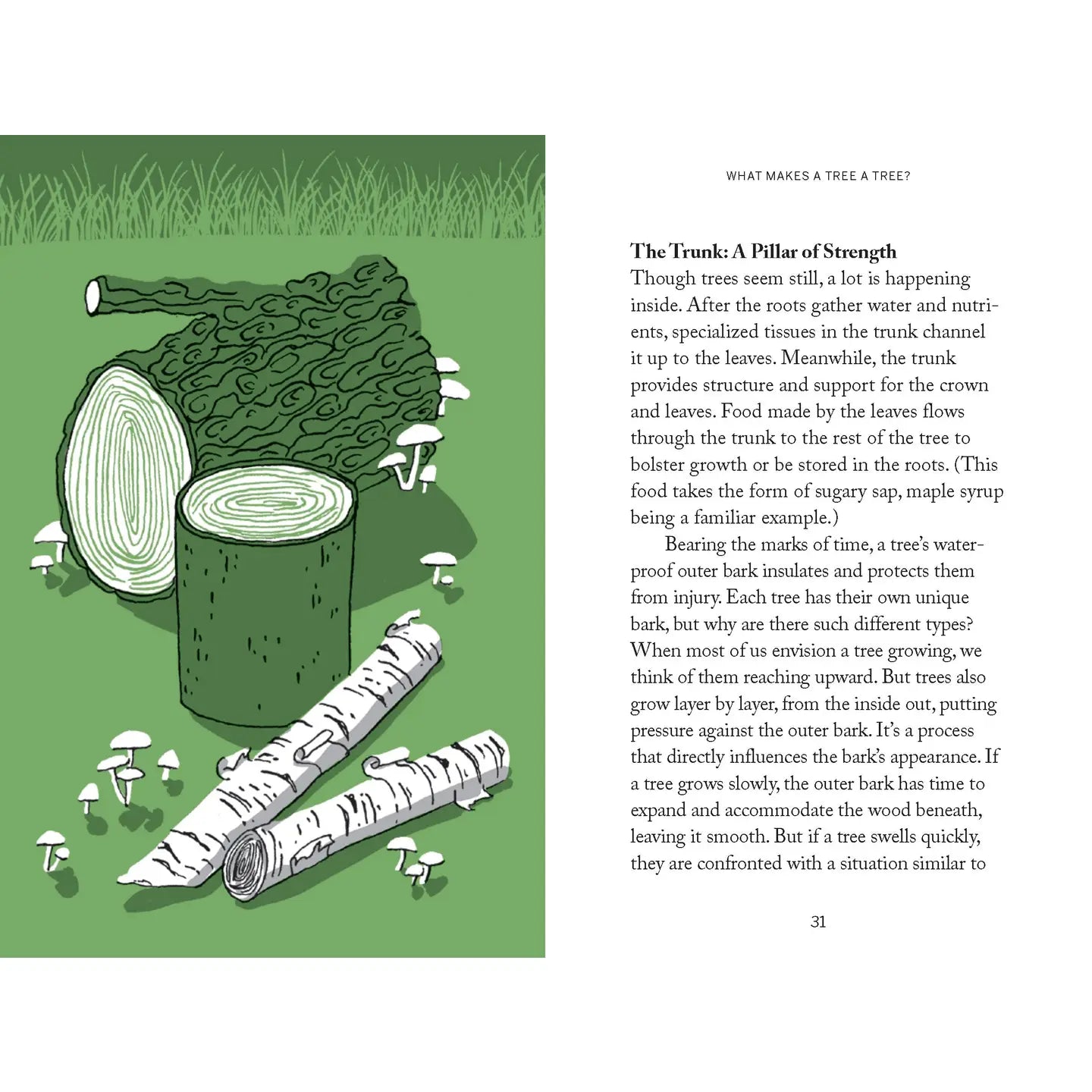 Pocket Nature: Tree Hugging