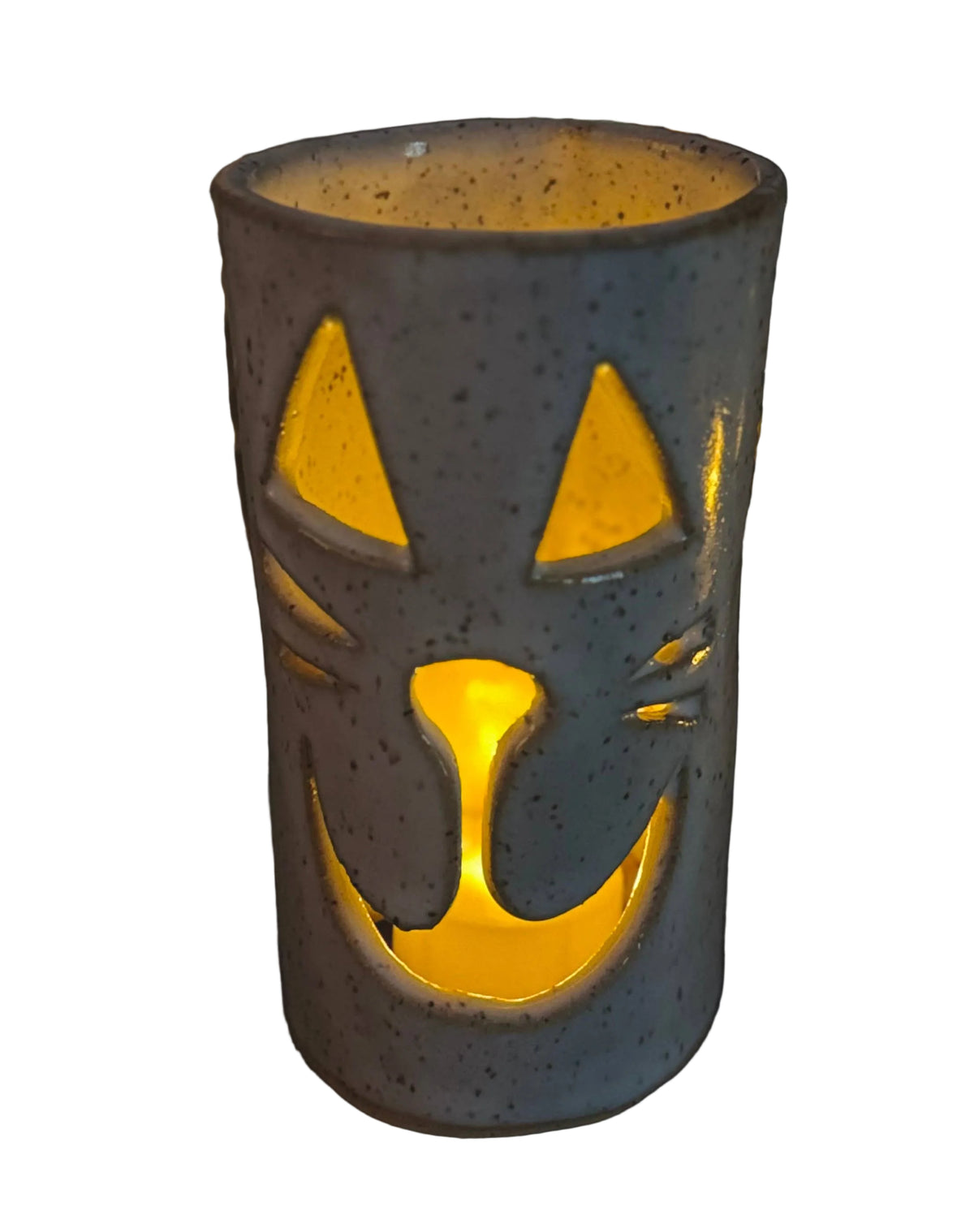 Cat Luminary