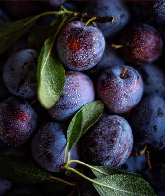 Violette Plum Candle