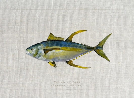 8x10 Yellowfin Tuna Print